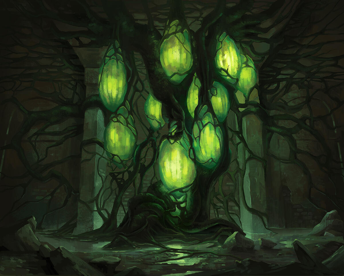 The Legend of Korra The Legend of Korra