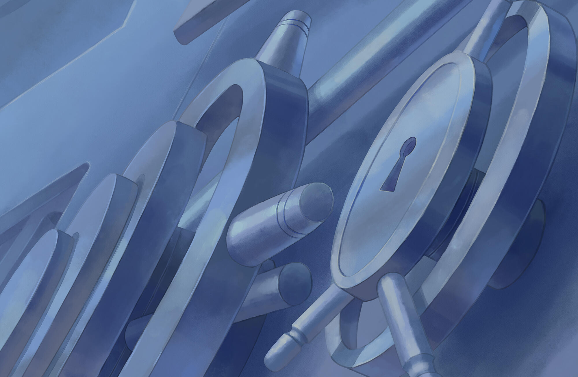 Cat Burglar Cat Burglar