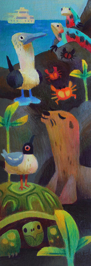 Illustrations