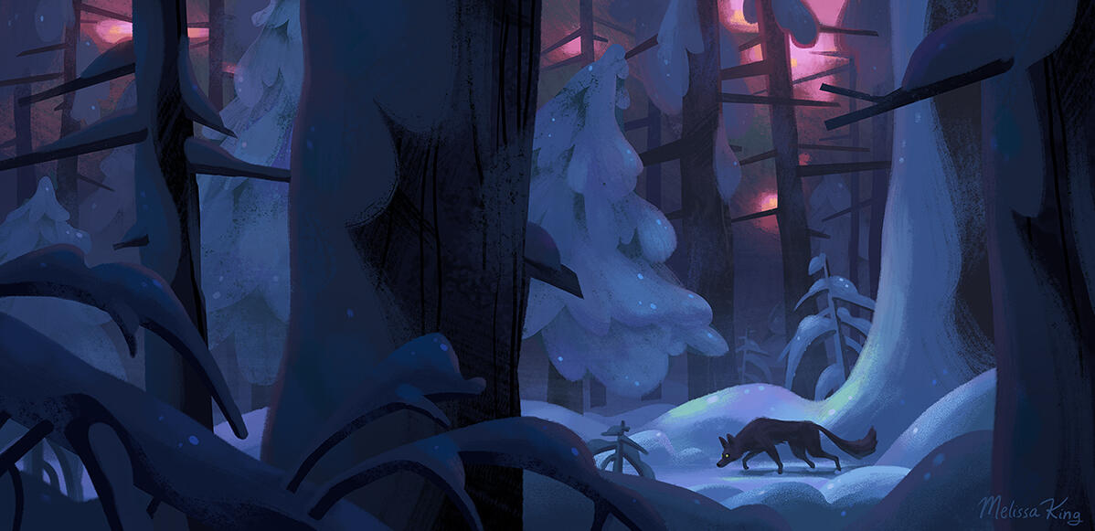 Illustrations