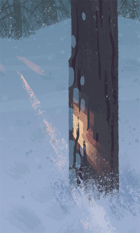 Illustrations