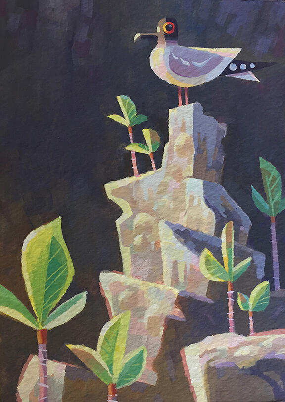 Illustrations